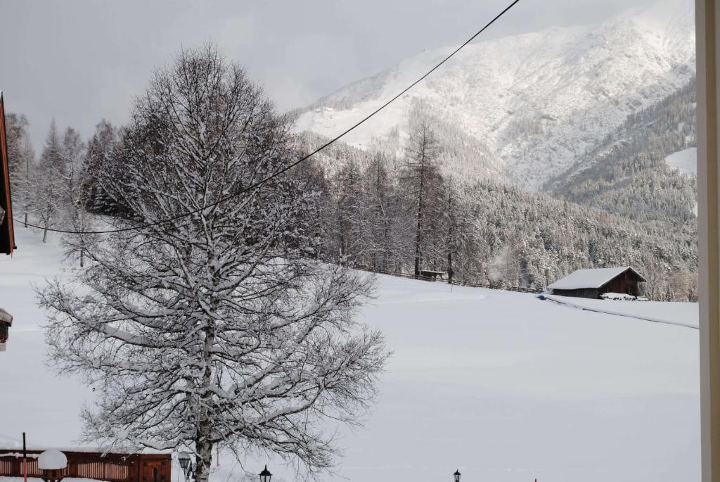 Haus Frank Apartment°6 Seefeld in Tirol Exteriér fotografie